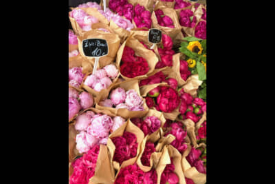 ドイツではボタンのお花がシーズン真っ盛り。市場でもお花屋さんでも数多く販売されています