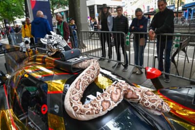 色んなぬいぐるみが載ってにぎやかなLMP2マシン