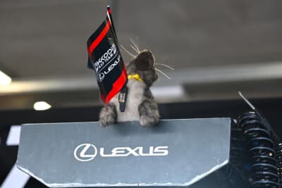 レクサスのピットにいた可愛いぬいぐるみにほっこり