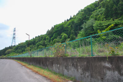 盛り土され、周辺より高くなっているところが旧ルートだ