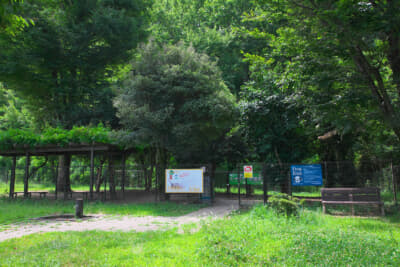 緑に覆われた中にドッグランが設置されている