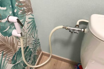 日本を訪れた際にとても気に入ったウォッシュレット。　フランスで同じ物は非常に高価らしく、妥協策がこの手動シャワーウォッシュレット。私には使う勇気がありません