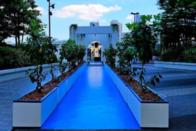 東京・浜離宮恩賜庭園を臨む「ウォーターズ竹芝」には、南イタリアの象徴でもあるレモンの木を植栽したファサードなど、アマルフィ海岸の華やかさをイメージした仕立てが施された