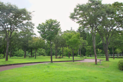 敷地内には緑が多く、リフレッシュできる