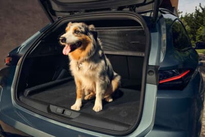 プジョー308：プジョー308のアイコンモデルとも言えるSW