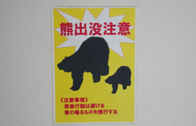 自然に囲まれた場所なので熊の出没もあるようだ