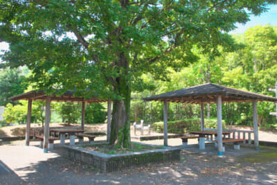 テラス席も設置されており、ペット同伴の人も食事ができる