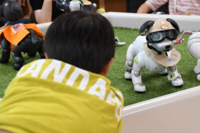 日本で唯一「Aibo」を製造しているソニーの工場を持つ幸田町は、「Aibo」の故郷として知られている。スカベンジャーラリーのチェックポイントには、この「Aibo」と触れ合う時間も用意された