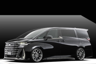 標準カラーのヴェルサムをアルファードに装着