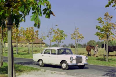 1961年に登場した通称「ハネベン」の190（W110）と220（W111）。Sクラスのショート版。世界初のフルモノコックボディによる衝撃吸収式安全ボディ構造を確立し、室内には本格的な安全パッドを装備。「安全を標準装備」したモデルだ。写真は220/W111