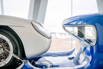 特筆の2層に湾曲したリアウインドウはガラス職人の誇り高き功績を物語っている。このため、300SLR/W196S及びF1カー/W196Rのフロントエンドがまるで手袋の中にぴったりと納まった