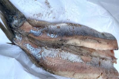 実物は写真で見るより美味しいハーリング。駐車場で早々にいただいてるところを知り合いの家族に見られてしまいました