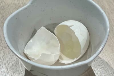 卵の殻は炭酸カルシウムが豊富で、樹脂に混ぜると軽くて丈夫な素材になる