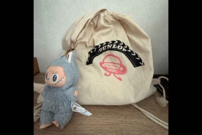 私の愛用しているバッグ。どう？　かわいいでしょ〜？