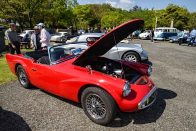 ディムラー SP250：SP250はディムラー初の本格的スポーツカーにして、最後の自社オリジナル設計のクルマとして知られている