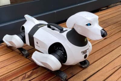 ソニーのアイボくん?と思いきや、中国のEVメーカーでは最新のロボット犬を展示