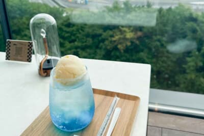 富士のお約束。富士スピードウェイホテルファンテラスの富士山クリームソーダ