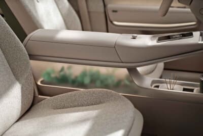 フォルクスワーゲンIDクロス・コンセプト：センターコンソールに実物の植物を配置したコンセプトモデル