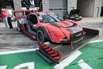 これは何の競技で走るのでしょうか?と疑問のウイングを装着していました