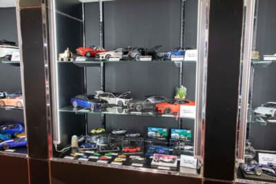 ブランド名：ミニチャンプス