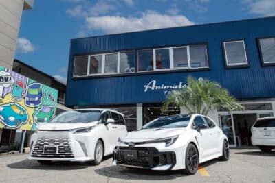 Animato,S car maintenance