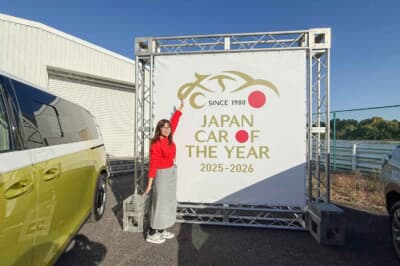 うーん……今見ても悩ましいですわ。もう考えるのやめちゃおうかしら