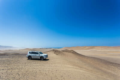 荒廃とした風景にプラドは非常に似合う
