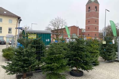 クリスマスの1カ月ほど前から街のあちこちでクリスマスツリーが販売されています。じつはこれらは本物のもみの木で、プラスチック製はほとんど普及していません