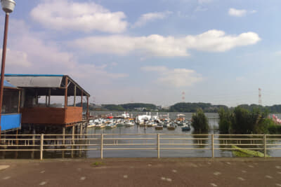 我孫子市：「トリガール」で土屋太鳳がスワンボートに乗った手賀沼