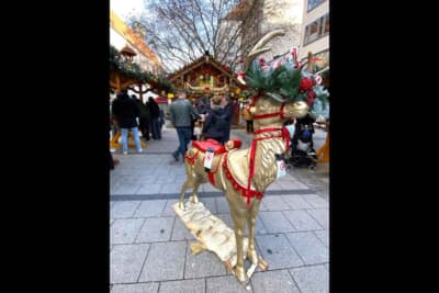 ちょっと日本のしめ縄飾りにも見えなくもない、クリスマスの装飾をまとったオブジェも