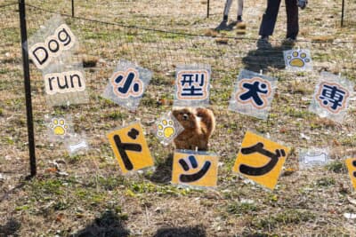 小型犬用のドッグランも併設されている。カングーオーナーだけでなく、公園に遊びに来ているわんちゃんも、今日だけはこの場所で力いっぱい走れるのが特徴だ