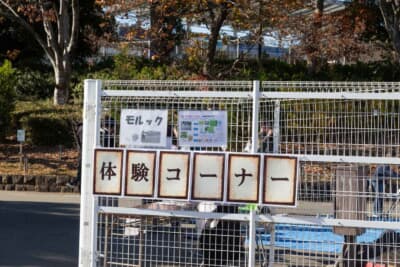 モルックの体験コーナーでは、多くの子どもだけでなく大人も和気あいあいとゲームを楽しんでいた