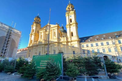 街の中心地、オデオンス広場でもツリーを売っていますが、ここから自宅まで持って帰るのはかなり大変そう