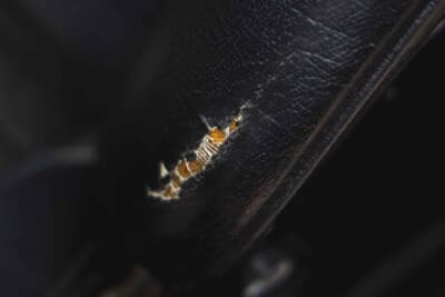 5万7500ユーロ（邦貨換算約1030万円）で落札されたフェラーリ「208GT4」（C）Bonhams