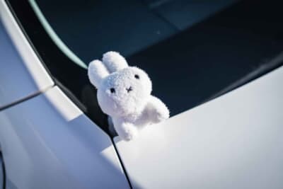 トヨタ2代目マークX：スズキ「ラパン」に乗る遠方在住の友人がくれた、大切なうさぎと一緒にイベントに参加