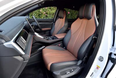 sealion6：タンとブラックのコンビインテリア