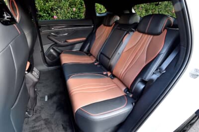 sealion6：シートで汚れやキズが気になる場所はブラック