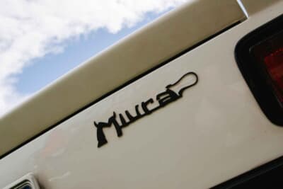 フェルッチオは数枚のプロトタイプ（TP400）の写真を、当時の牧場主だったドン・エドゥアルド・ミウラに見せたのみで、その使用権（ミウラの車名）を得ることに成功