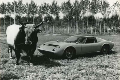 ミウラの名は、スペインの闘牛界における繁殖牧場に由来し、闘牛にかかわる車名の伝統を作ったと言われている