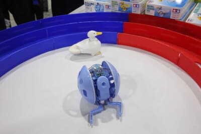 大人も欲しくなる？ローリングロボットとアヒルの工作セット