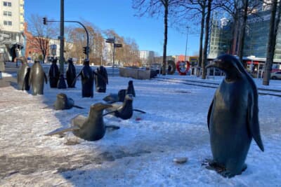 雪の日にペンギンの像はぴったりですね