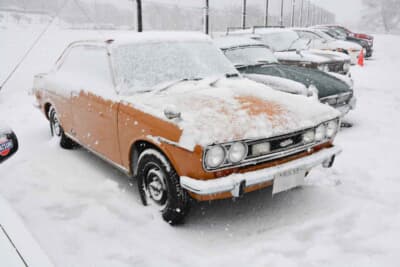 全日本ダットサン会の協力によるヒストリックカー展示も