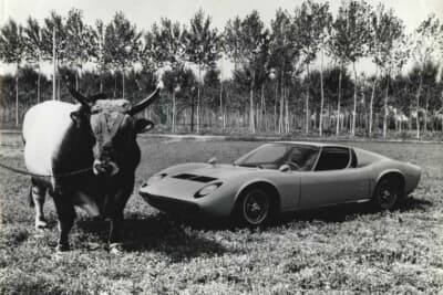 ランボルギーニ P400 ミウラ：シャシー番号0502は、1966年トリノ・サロン出展後に追突事故で大破し、現存していないと伝えられている