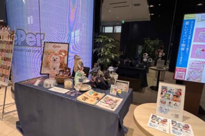 話題の中には多くの女性が持っている美容グッズが、じつは安全運転に有効かもしれないという話もあったりで大いに盛り上がりましたよ！