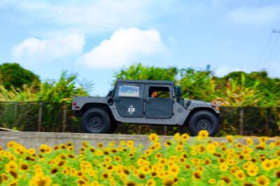 晴天に恵まれた最終日、昨今ちまたで話題の「伊計島フラワーロード」のひまわり畑に見守られつつ、カートによるユニークな最終P.C.競技ポイントへと向かう1985年式ハンヴィである