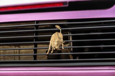 162万7500ドル（邦貨換算約2億5865万円）で落札されたランボルギーニ「ディアブロ SE30」（C）Courtesy of RM Sotheby's