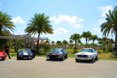 沖縄らしいワンシーン