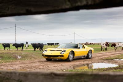 ゲートの向こうに見えるミウラ牛。ミウラ牧場の猛牛とランボルギーニのスーパースポーツ、最強の存在同士が車名で結ばれた