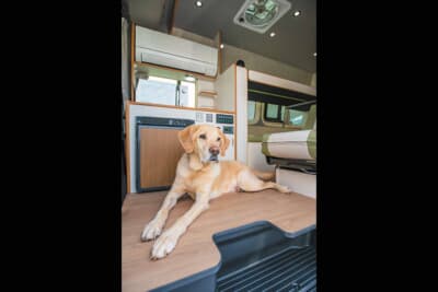 間口が広い出入口には余裕のあるスペースを設け、大型犬でもゆったり過ごせるように設計している。