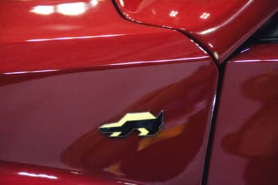 ディに輝くエンブレムが特別なモデルを主張している